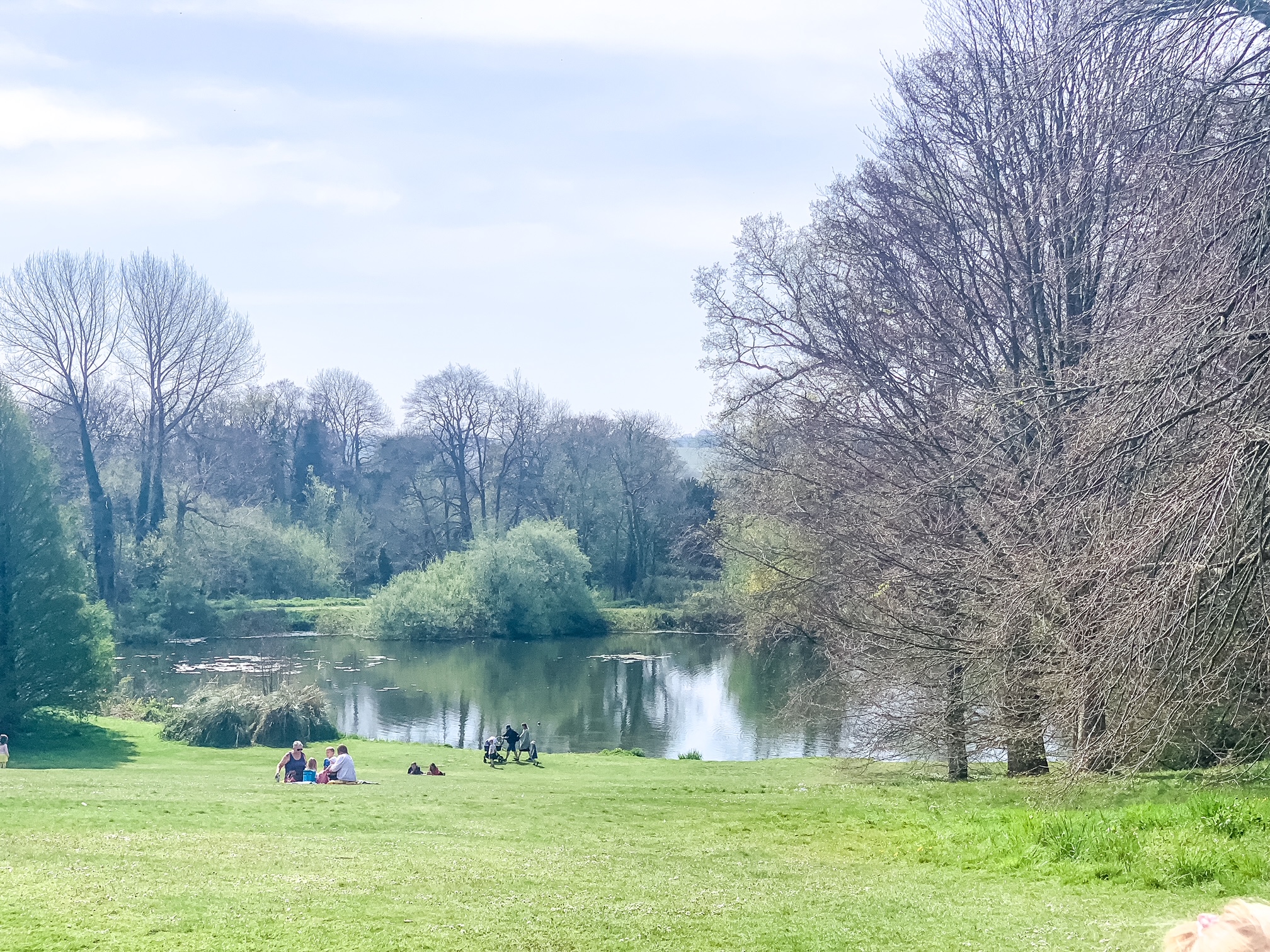 Kingston Maurward Animal Park and Gardens - field sloping down to the lake with people enjoying a picnic
