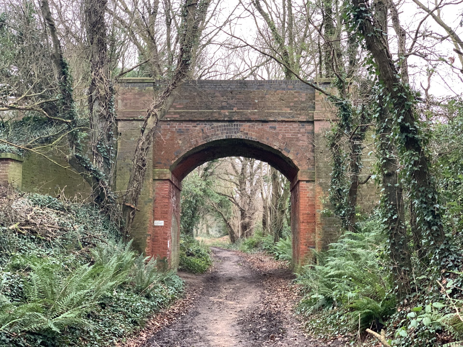 Walks Harpford Woods, Sidmouth See Stay Explore